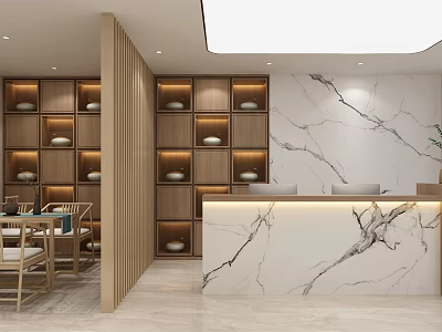 Modern Hospital Outpatient Clinic Interior With Marble Wall Wooden Shelves Reception Desk And Seats 3d model