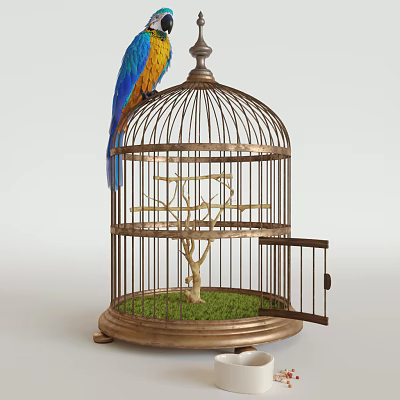American Bird Cage 3d model American Bird Cage 3d model