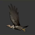 Majestic Eagle With White Head And Brown Wings Spreading In Flight
