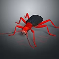Red and Black Insect with Long Legs and Antennae on Dark Background Surface