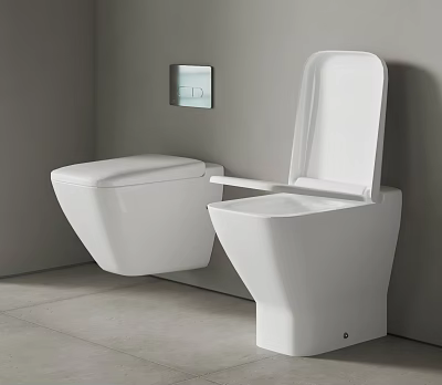 Modern White Wall Mounted and Floor Standing Toilet in Contemporary Bathroom Interior Design 3d model