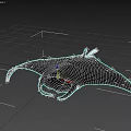 Graceful Black And White Manta Ray Swimming With Large Pectoral Fins In Ocean