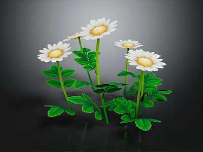 Beautiful Blooming White Daisies with Lush Green Leaves on Black Background 3d model