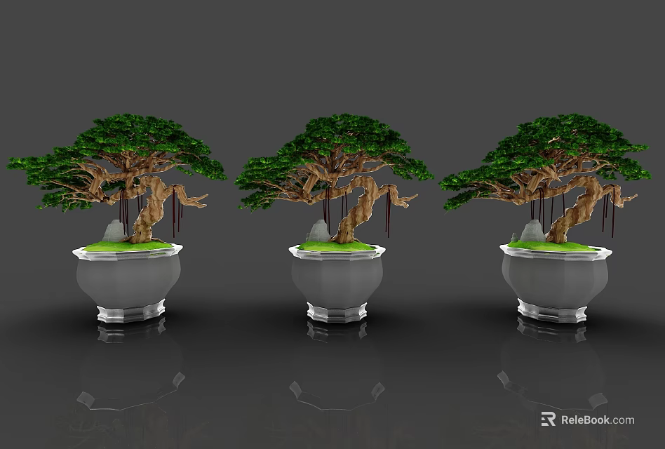 Three Bonsai Pine Trees in Elegant Silver Pots with Green Foliage 3d model 