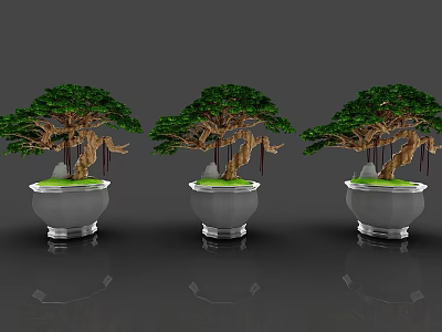 Three Bonsai Pine Trees in Elegant Silver Pots with Green Foliage 3d model