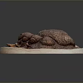 Brown Textured Trilobite Fossil Replica With Oval Base And Engraved Text