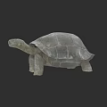 Large Tortoise With Thick Textured Shell Standing On Dark Background 3d model