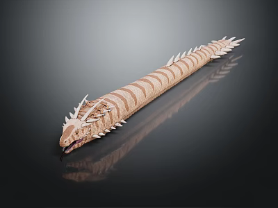 Long Brown Striped Spiked Head Creature On Black Background With Reflection 3d model