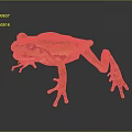 Vibrant Green Frog With Brown Markings And Long Legs On Reflective Dark Surface