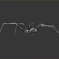 Long Legged Spider With Black White Yellow Body On Shiny Surface With Reflection 3d model