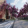 Municipal Road With Purple Flowering Trees Alongside Buildings And Street Lamps