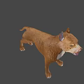 Brown Dog With White Chest Standing Alertly On Dark Background
