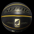 Well Equipped Indoor Basketball Court with Official Size Competitive Leather Basketball