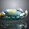 Vibrant Colorful Fish With Circular Green Blue Spots On Body And Purple Tail