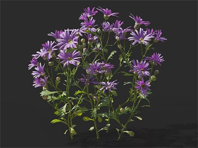 Cluster Of Blooming Purple Flowers With Green Stems And Fresh Leaves 3d model