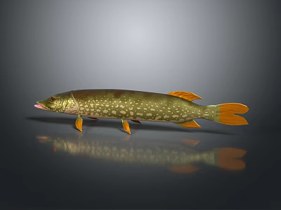 Aquatic Animal Northern Pike With Spotted Green Body Orange Fins And Tail In 3D Render 3d model