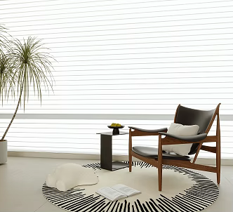 Leisure chair round carpet side a few green plants potted plants 3d model