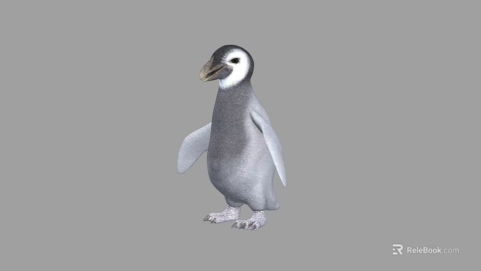 Realistic 3D Model of Gray and White Penguin Standing Upright 3d model 