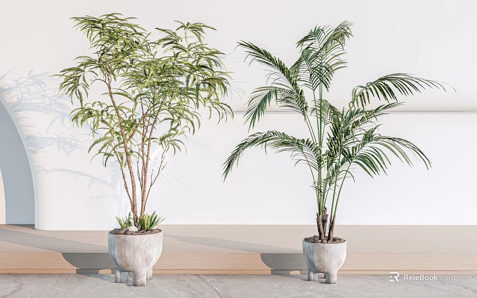 Indoor Bonsai Bamboo And Palm Potted Plants In Gray Ceramic Pots 3d model 