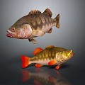 Two Colored Fish Figurines As Household Decor Items With Red Fins And Realistic Design