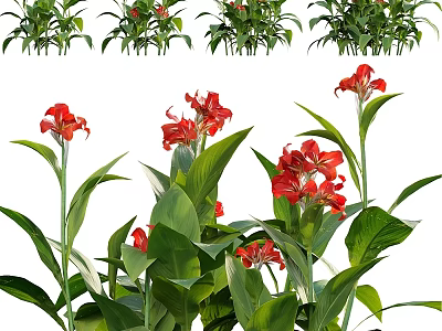 Decorative Ornament Set With Red Flowers And Green Leaves For Home Tabletop Decoration 3d model