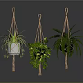 Hanging Basket Plants With Various Green Foliage And Decorative Planters For Home Interior