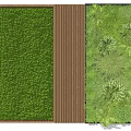 Green Living Plant Wall Design With Moss And Various Plants For Interior Decoration