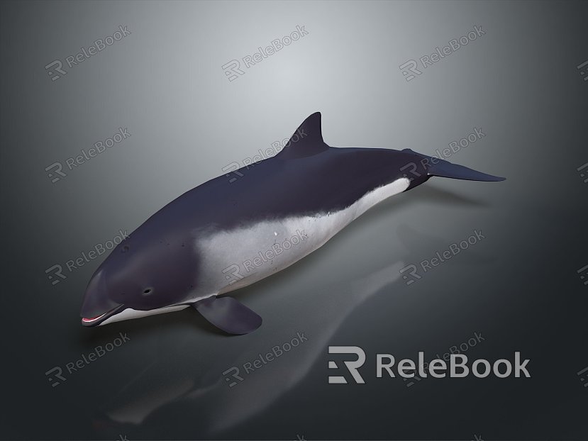 whale cartoon whale mammal marine mammal marine animal fish freshwater fish marine fish model