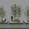 Bamboo Plants in Modern Planters with Decorative Stone Moss and White Pebbles Arrangement