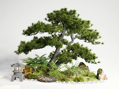 Bonsai Pine Tree With Moss Stones Small Lantern And Green Plants 3d model