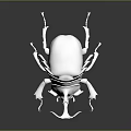 Shiny Silver Beetle Model With Large Horns And Legs On Black Reflective Surface