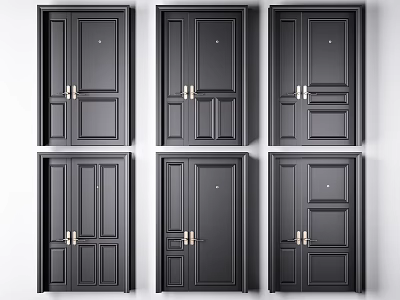 Modern Black Combination Door Styles with Golden Hardware and Panel Designs 3d model