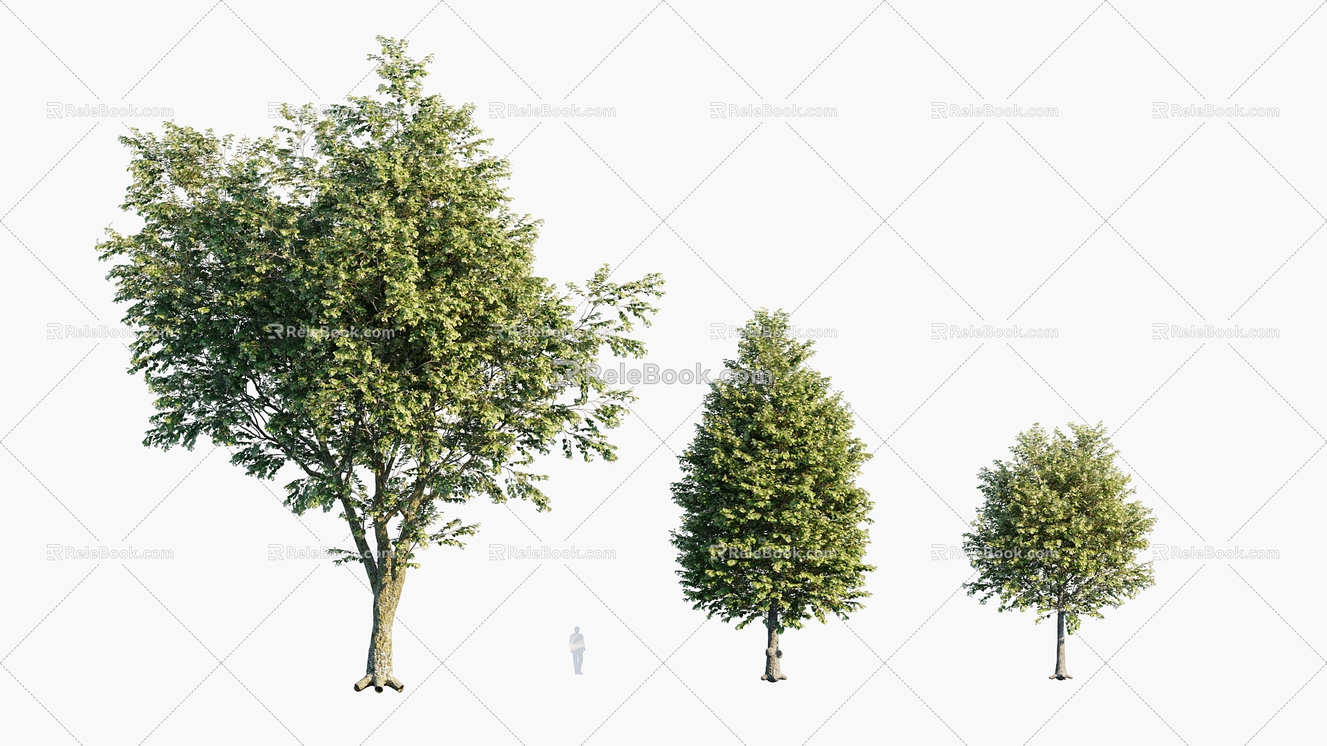 Plants Trees Arbor Landscape Trees 3d model