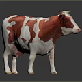 Red and white cow 3D model standing on dark reflective surface with details 3d model