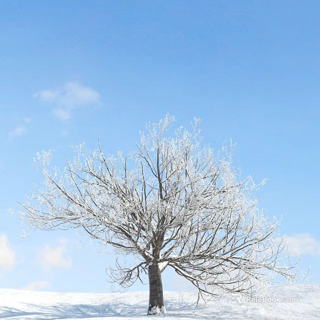 Frost Covered Arbor Branches Against Clear Blue Sky With White Clouds 3d model 