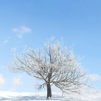 Frost Covered Arbor Branches Against Clear Blue Sky With White Clouds 3d model
