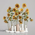 Vibrant Sunflowers Arranged in Modern White Beige and Cylindrical Vases with Round Bases