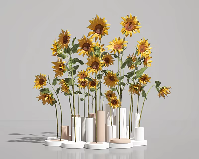 Vibrant Sunflowers Arranged in Modern White Beige and Cylindrical Vases with Round Bases 3d model