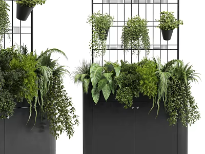 Bonsai Potted Plants Display With Lush Green Foliage In Black Cabinet And Metal Rack 3d model