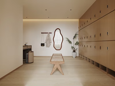 Modern Minimalist Cloakroom With Wooden Lockers Mirror Bench And Plant 3d model