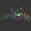 Green Plants In Multiple Gray Bird Shaped Pots With Slender Stems And Small Flowers