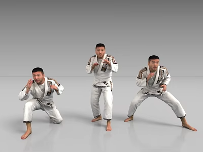 Taekwondo Jeet Kwon Do Martial Arts Judo 3d model