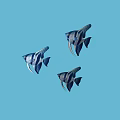 Three Blue and Black Striped Fish Swimming in Blue Background