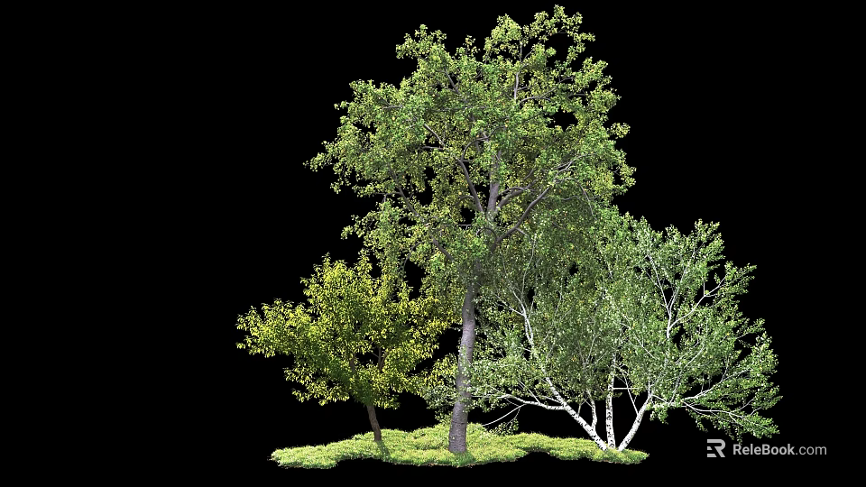 Three Green Leafy Trees With Different Trunk Colors And Lush Grass 3d model