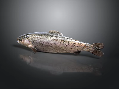 Whole Spotted Fresh Fish On Dark Surface With Natural Details And Light Reflection 3d model