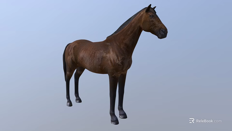 Detailed Brown Horse Standing Against Light Blue Background In 3D Rendering 3d model 