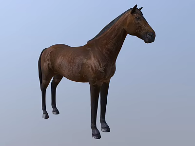 Detailed Brown Horse Standing Against Light Blue Background In 3D Rendering 3d model