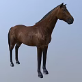 Detailed Brown Horse Standing Against Light Blue Background In 3D Rendering
