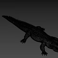 White 3D Crocodile Model With Detailed Scales And Body Structure 3d model