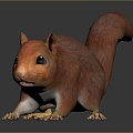 Squirrel Cartoon Squirrel Animation Squirrel Animation Squirrel Cartoon Characters Cartoon Animals Cartoon Small Animals 3d model